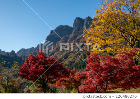 Mt. Myogi in Autumn: Autumn leaves at Mt. Myogi Panorama Park 120486270
