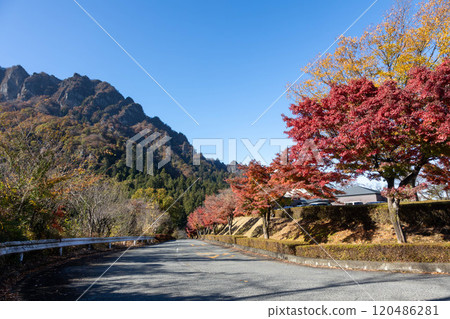 Mt. Myogi in Autumn: Autumn leaves at Mt. Myogi Panorama Park 120486281