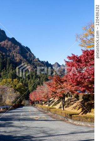 妙義山的秋天 - 妙義山全景公園的紅葉 120486282