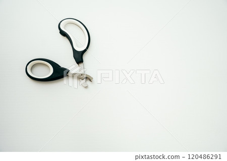 Nail clippers for cats Nail clippers for pets Nail clippers for cats Nail clippers for pets 120486291