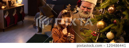 Celebrating Christmas with Grandfather and Granddaughter 120486441