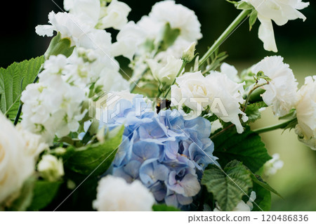A detailed closeup of a beautiful bouquet of white and blue flowers A detailed closeup of a beautiful bouquet of white and blue flowers 120486836