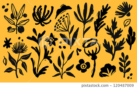 Flower, leaf hand drawn abstract isolated decorative elements. Line plant, art print, handmade sketch. Outline with paint, nature pattern. Retro grunge, brush decorative. Vector doodle background 120487009