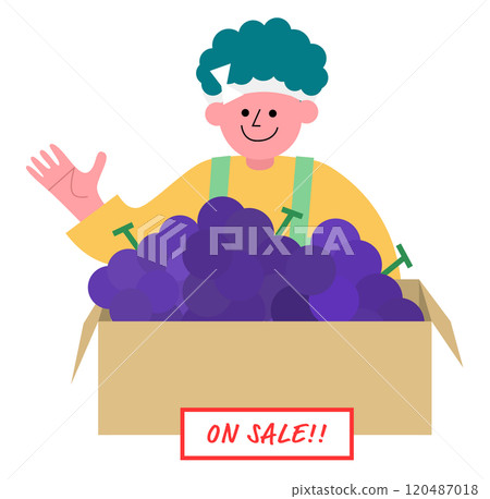 一名蔬果商在紙箱裡賣葡萄的插圖 一名蔬果商在紙箱裡賣葡萄的插圖 120487018