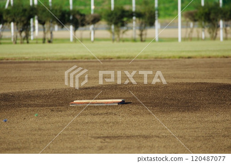 Pitcher plate 120487077