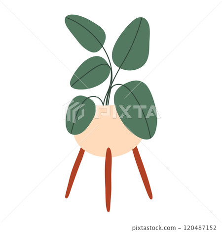 Houseplant in a pot. Home plant palm flowers in pots isolated on white background. Vector illustration. Flat style. Decorative plants for the home. 120487152