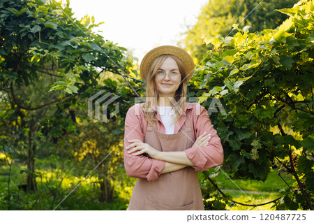 Beautiful young woman in vineyard on sunny day. Concept of healthy food and local farming. High quality photo Beautiful young woman in vineyard on sunny day. Concept of healthy food and local farming. High quality photo 120487725