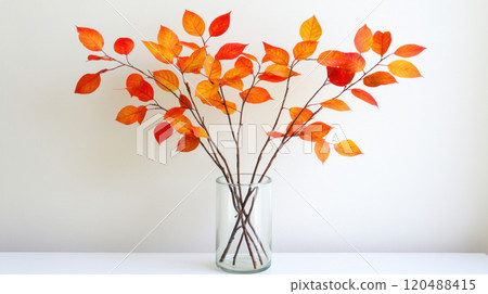 Colorful autumn branches in a glass vase on a clean surface, white background. 120488415