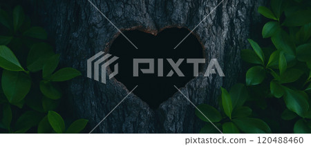 Heart-shaped hollow in a tree, surrounded by green leaves, showcasing nature's beauty. 120488460