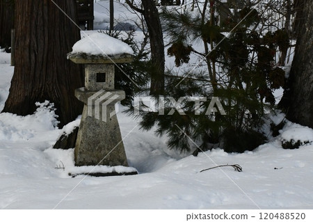 A snow-covered lantern stands beside the approach to Suwa Shrine A snow-covered lantern stands beside the approach to Suwa Shrine 120488520