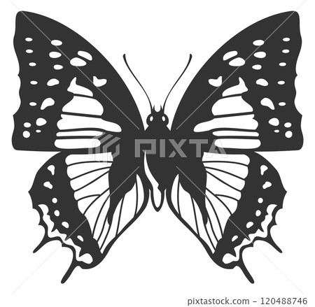 Black butterfly silhouette with beautiful shape wings pattern Black butterfly silhouette with beautiful shape wings pattern 120488746
