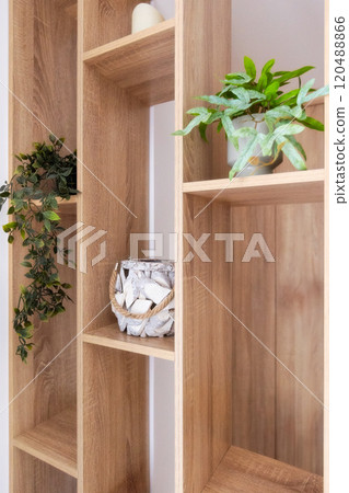Indoor green plants on the shelf. Home interior Indoor green plants on the shelf. Home interior 120488866