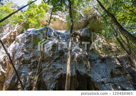 Majestic Limestone Cliffs and Tangled Roots in Bemaraha National Park. Majestic Limestone Cliffs and Tangled Roots in Bemaraha National Park. 120488965