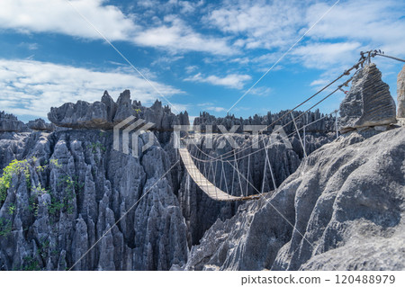 Precarious Wooden Bridge Over Tsingy de Bemaraha Cliffs, Madagascar. 120488979