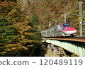 Akita Shinkansen Komachi running through autumn leaves 120489119