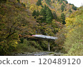Akita Shinkansen Komachi running through autumn leaves 120489120
