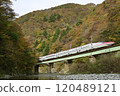 Akita Shinkansen Komachi running through autumn leaves 120489121