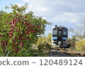 The Gono Line runs through apple orchards 120489124