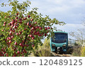 The Gono Line runs through apple orchards 120489125