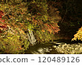 Autumn colors at Momijiyama in Nakano, Kuroishi 120489126