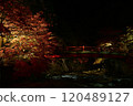 Autumn leaves lighted up 120489127