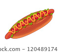 Hot dog illustration 120489174