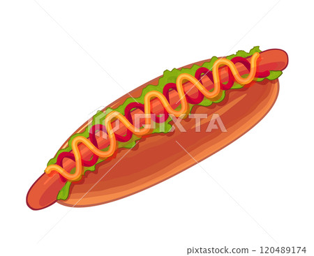Hot dog illustration 120489174