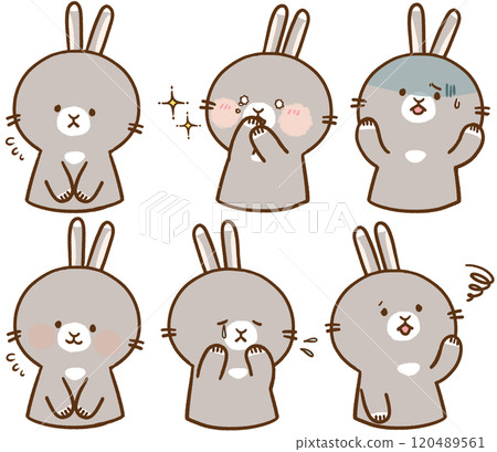 Gray Bunny Set 2 120489561