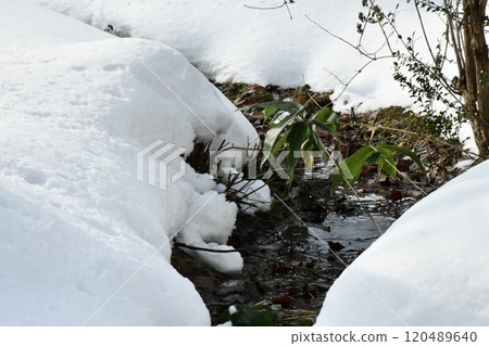 Daytime view of a stream in thick snow near Suwa Shrine Daytime view of a stream in thick snow near Suwa Shrine 120489640