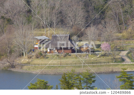 兵庫縣有馬富士公園/當地富士/兵庫縣三田市的茅草屋頂房屋和櫻花 120489866