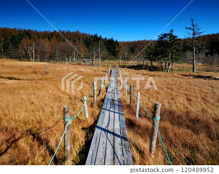 [Mountain scenery] Nagano Prefecture, Mt. Nyugasa and Oawara Marsh in autumn 120489952