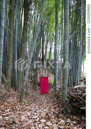 竹林中的任意門[岡山/玉野市] 120489960