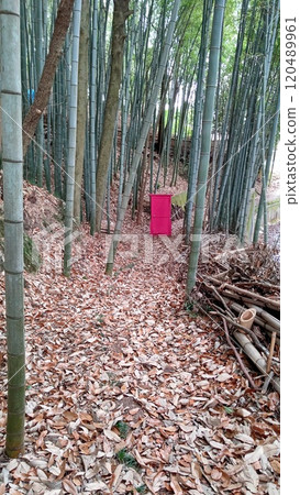 竹林中的任意門[岡山/玉野市] 120489961