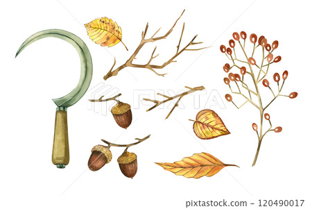 Metal sickle, viburnum, acorns, autumn leaves and bare tree branches. All objects are hand-painted with watercolors. Watercolor illustration on the theme of harvest and autumn. Suitable for printing Metal sickle, viburnum, acorns, autumn leaves and bare tree branches. All objects are hand-painted with watercolors. Watercolor illustration on the theme of harvest and autumn. Suitable for printing 120490017