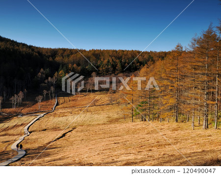 [Mountain scenery] Nagano Prefecture, Mount Nyugasa, and Nyugasa Marsh in autumn 120490047