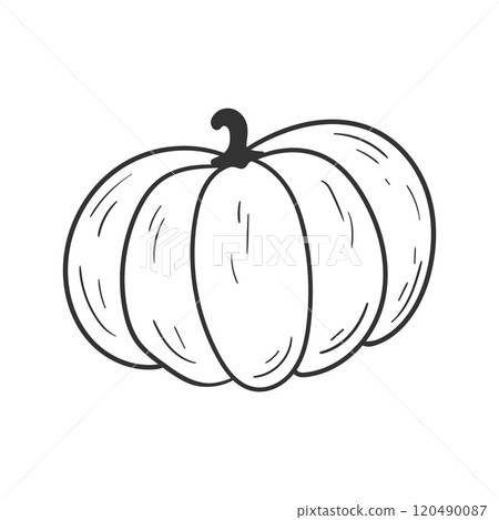 Hand drawn pumpkin outline. Pumpkin doodle. Vector illustration 120490087