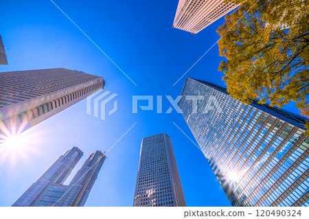 Tokyo cityscape in Japan: A ray of hope...Autumn. View of Shinjuku skyscrapers including the Tokyo Metropolitan Government Building and Shinjuku Keio Plaza H = November 22nd 120490324