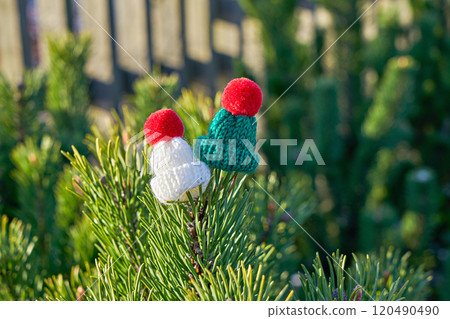 Red, white, and green mini knitted hats placed on pine branch outdoors during winter Red, white, and green mini knitted hats placed on pine branch outdoors during winter 120490490