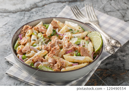 Tender tuna salad with penne pasta, green peas, red onion and celery close-up in a plate. Horizontal Tender tuna salad with penne pasta, green peas, red onion and celery close-up in a plate. Horizontal 120490554
