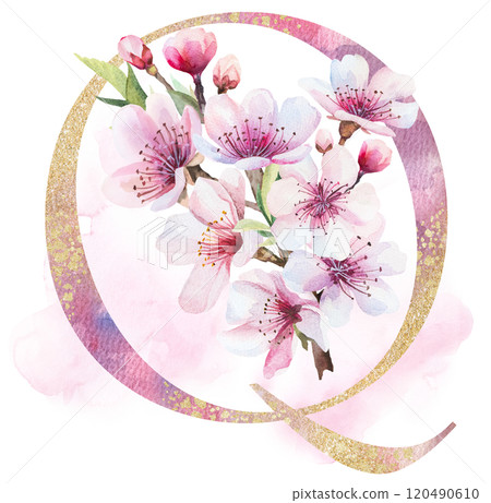 Watercolor and golden letter Q with pink cherry flowers and buds, wedding sakura isolated element 120490610