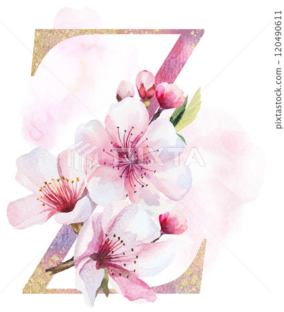 Watercolor and golden letter Z with pink cherry flowers and buds, wedding sakura isolated element 120490611