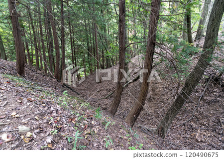 堀原城遺址殘存的堀切 堀原城遺址殘存的堀切 120490675