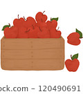 Red Apples in Wooden Crate - Fresh Autumn Harvest 120490691