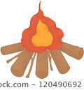 Warm Campfire with Burning Logs 120490692