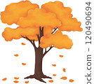 Autumn Tree with Golden Leaves Colorful Tree Illustration 120490694