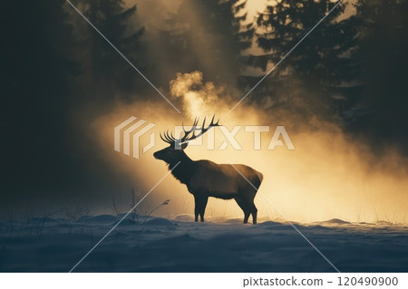 Majestic Deer in Snowy Landscape at Sunrise Majestic Deer in Snowy Landscape at Sunrise 120490900