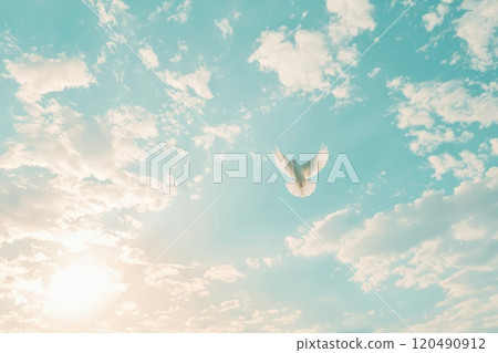 Serenity of a Dove in the Sky at Sunset 120490912