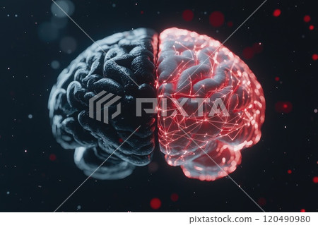 Human Brain Split into Digital and Organic Halves Human Brain Split into Digital and Organic Halves 120490980