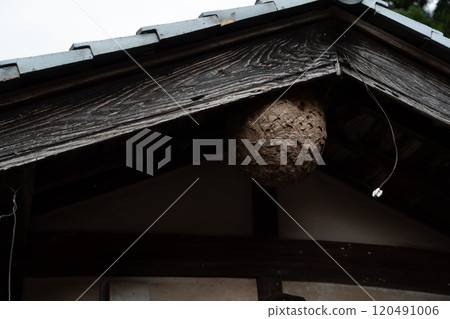 A hornet's nest made in a house 120491006