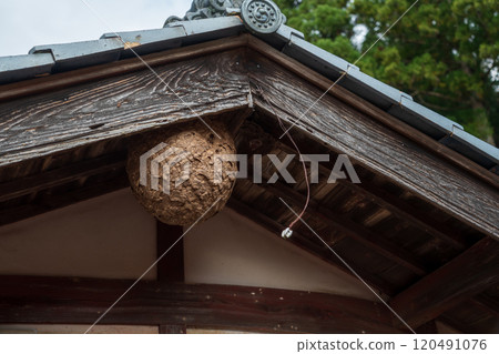 A hornet's nest made in a house 120491076
